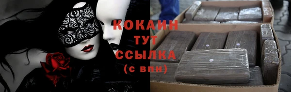 соль курить ск Новодвинск