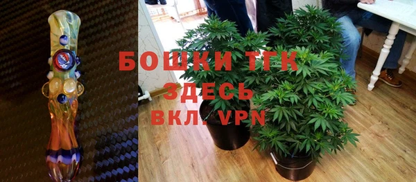 стаф Новозыбков