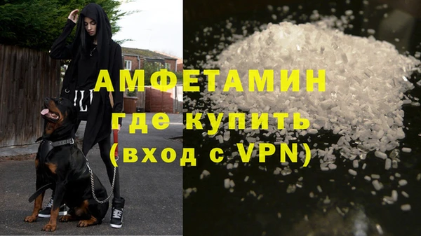 стаф Новозыбков