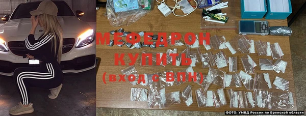 стаф Новозыбков