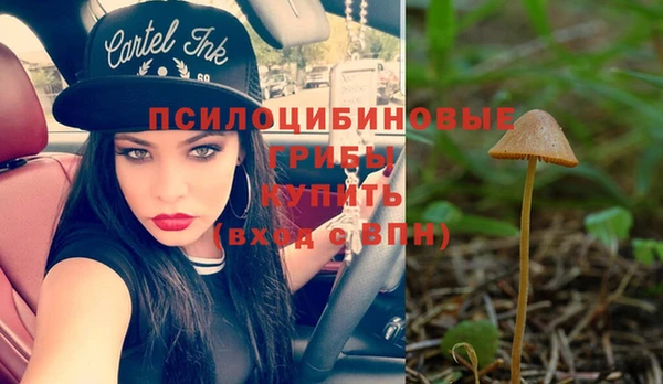 стаф Новозыбков