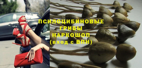 соль курить ск Новодвинск