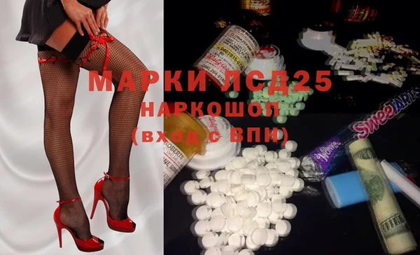 стаф Новозыбков