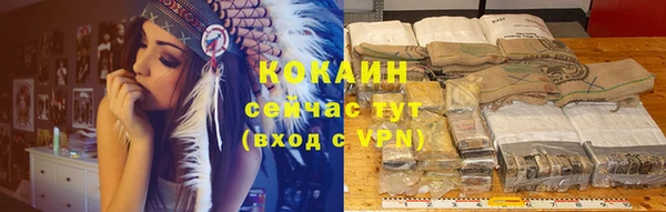 кокс Новоузенск