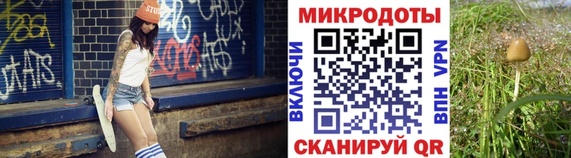 Псилоцибиновые грибы Magic Shrooms  ссылка на мегу ССЫЛКА  Покачи  как найти  