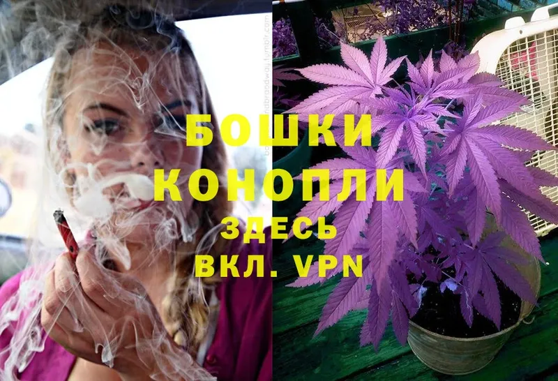 Каннабис LSD WEED  купить наркоту  Покачи 